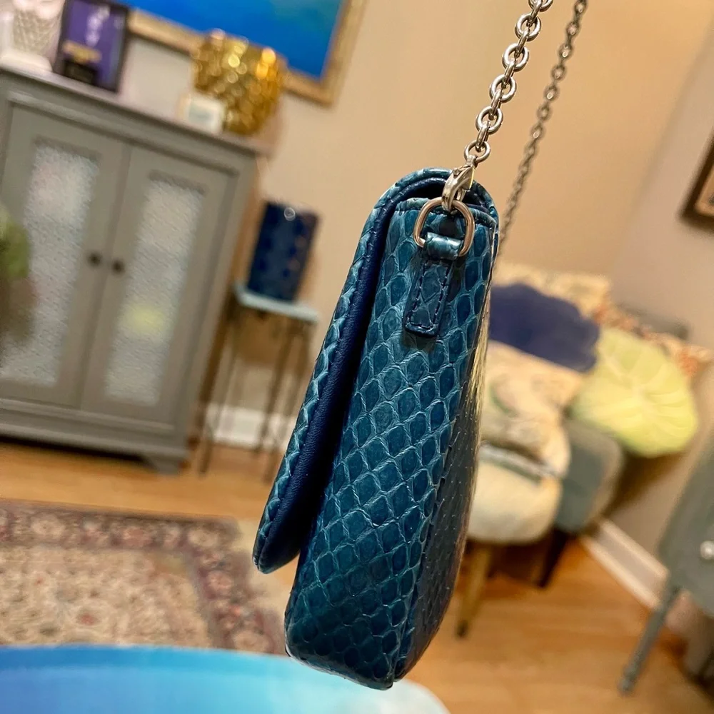 Dior Blue Python & Leather WOC Bag - Picture 5 of 16